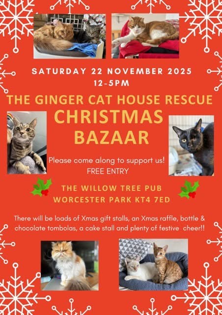 The Ginger Cat House Rescue Christmas Bazaar